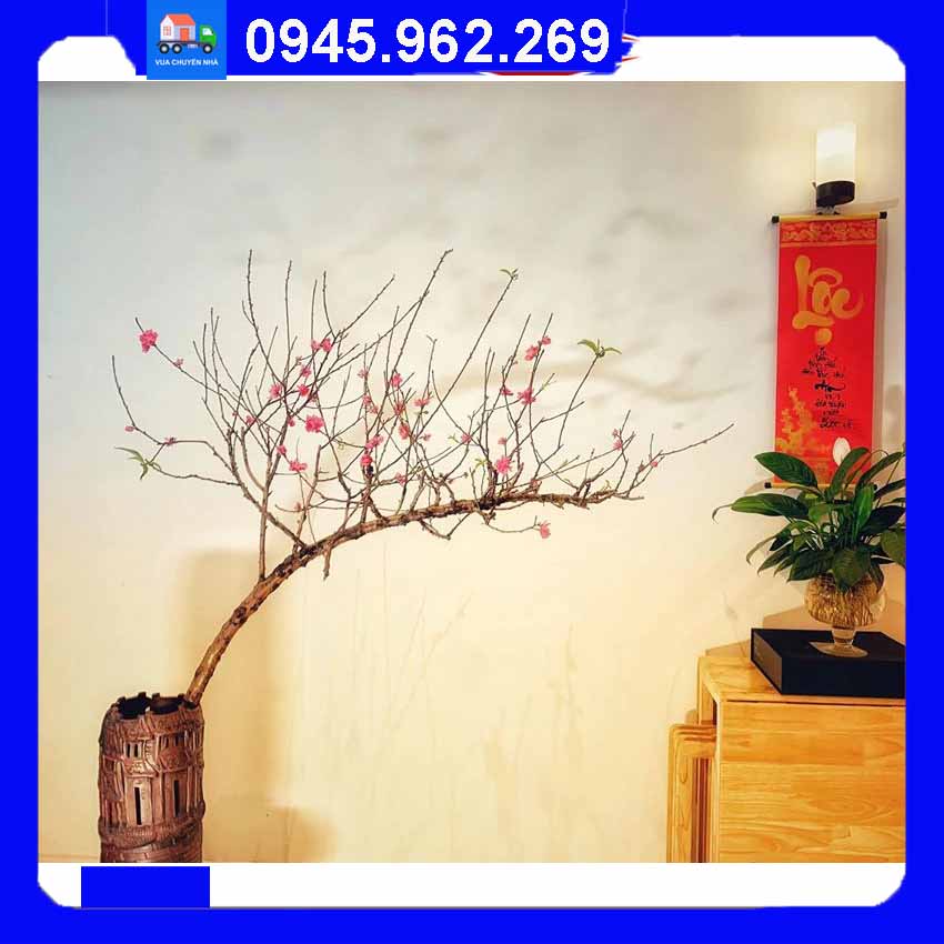 Cành đào dáng huyền là gì