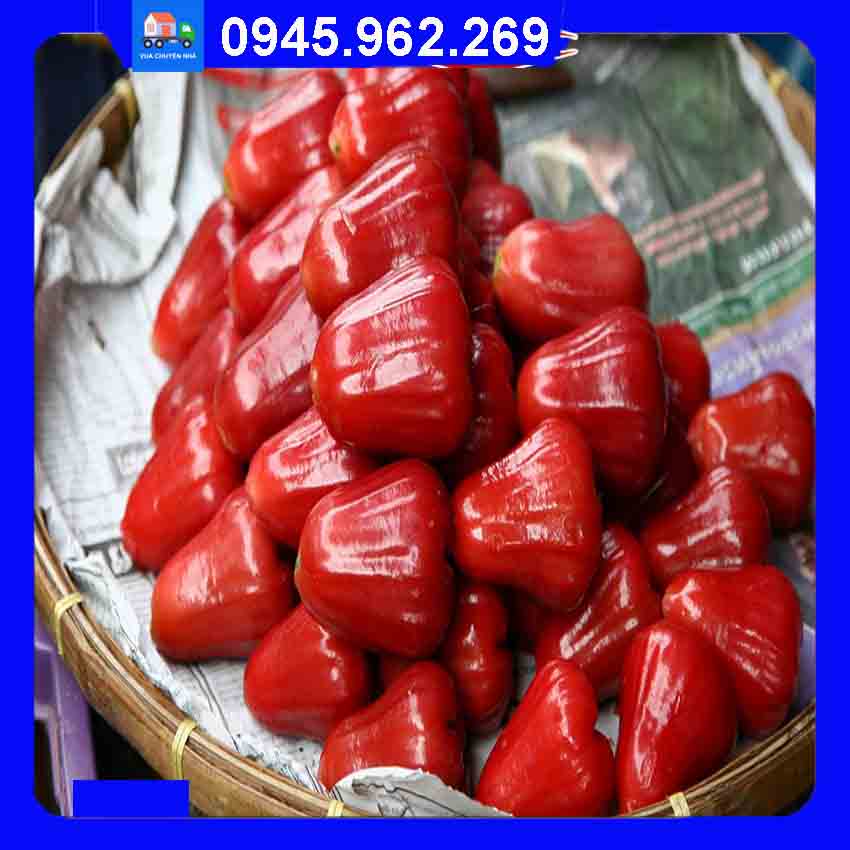 quả roi đỏ có thắp hương được không